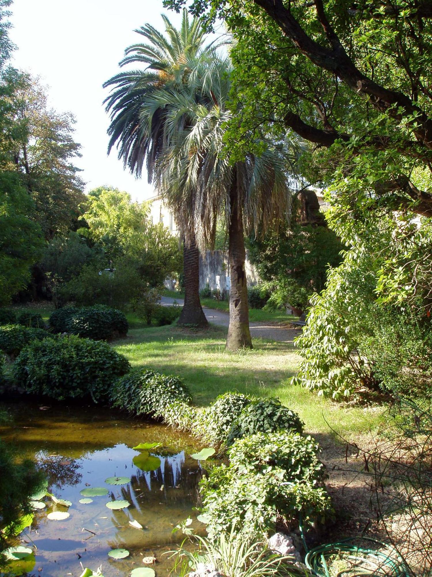 Hagley Park Hidden Gem Διαμέρισμα Κράισττσερτς Εξωτερικό φωτογραφία